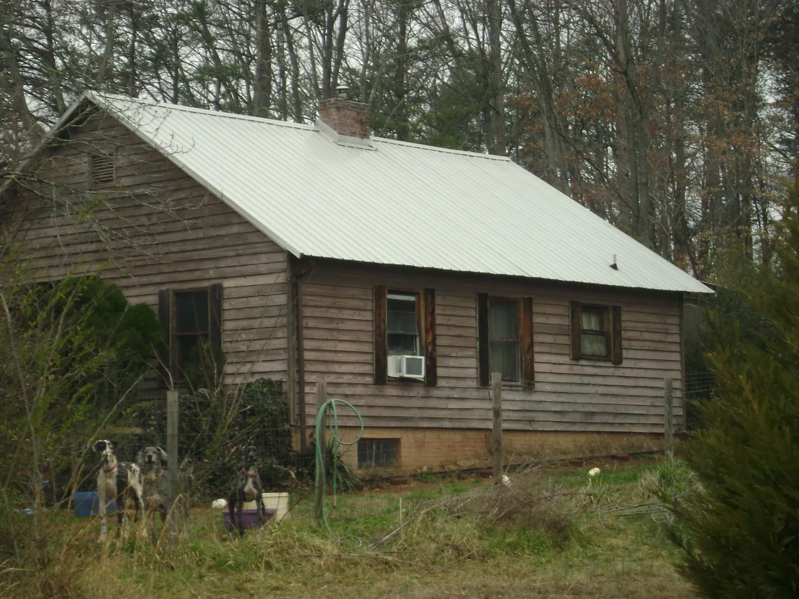 White metal roof on an old wood sided farmhouse, from a Asphalt Shingle Roof Repair job in Braman